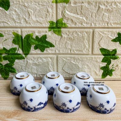 Bộ Ấm Chén Hoa Xanh Viền Vàng